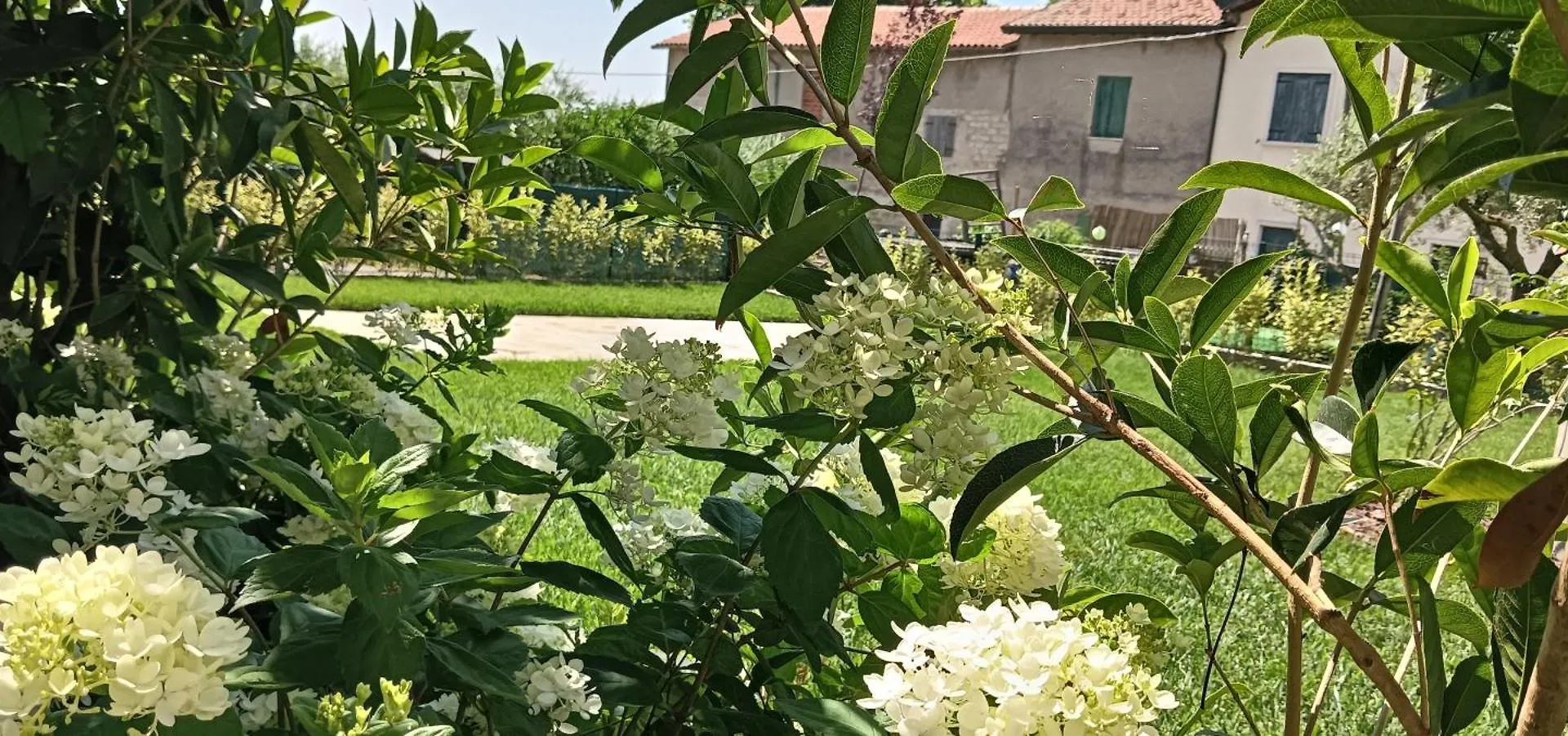 شقة La Casa Di Sara Pacengo Di Lazise إيطاليا